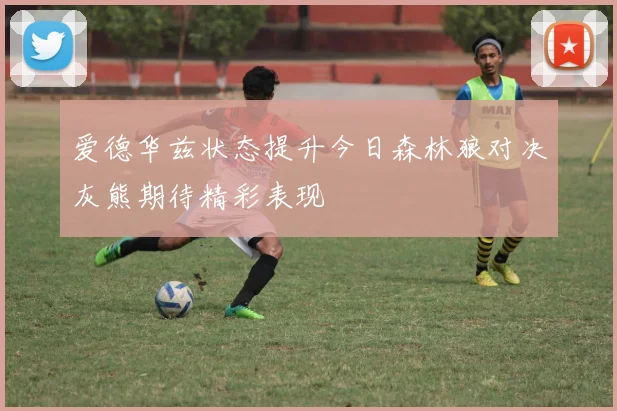 爱德华兹状态提升今日森林狼对决灰熊期待精彩表现