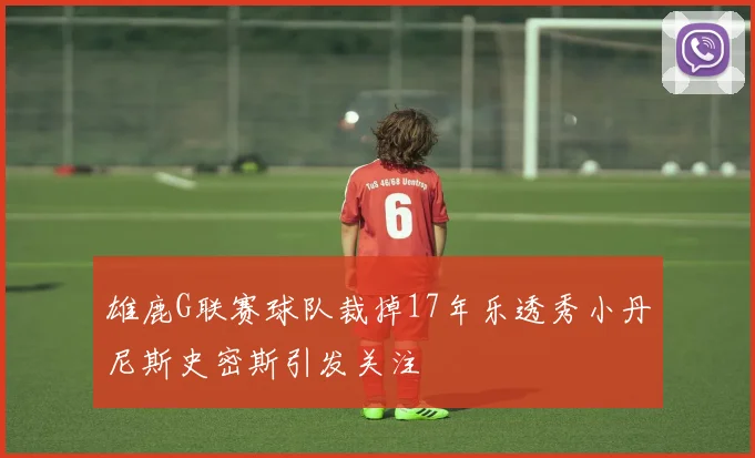 雄鹿G联赛球队裁掉17年乐透秀小丹尼斯史密斯引发关注