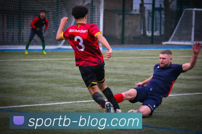 B体育APP 封面图